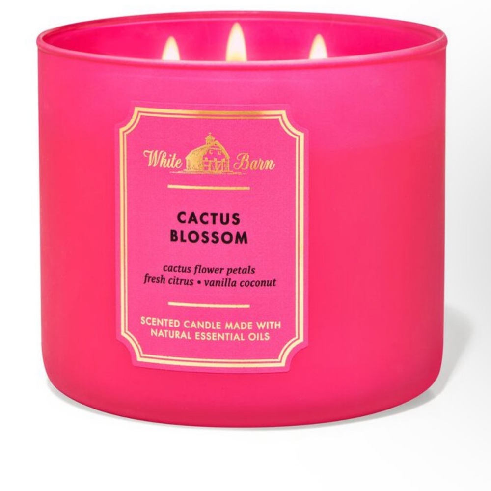 NWT WHITE BARN 3-Wick Cactus Blossom Candle 14.5oz